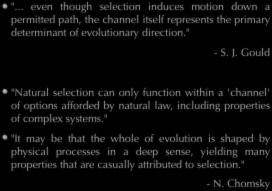 a reasonable account of the evolutionary origins of UG." (N. Chomsky) 1 15 ".