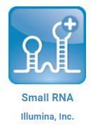 Small RNA App について 情報解析 Small RNA App でできること mirna の発現解析 DESeq