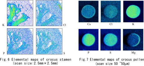 PIXE Particle Induced X-ray Emission ppm, B, Li, F 制限資料