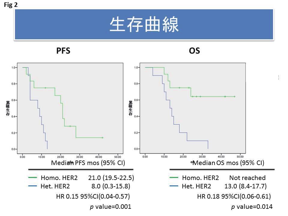 を発現する胃 癌の治療成績は heterogeneous に HER2 を発現す る胃癌よりも有意に良好であった [PFS:21.0 Fig 2 months vs.8.0 months, HR0.15 95 CI 0.