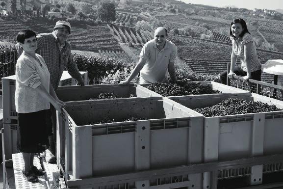 ワイン造りは現在 ジュゼッペの子供たち ピエール カルロとティツィアーナ ティツィアーナの夫であるガブリエレが加わり 更なる進歩を続けます 畑は イタリアの偉大なクリュとされるランゲ地方のバルバレスコの伝統的な生産地域ラバヤと 対面しているトリフォレラに 8ha の自社畑を所有しています ネッビオーロが栽培されているラバヤの畑は 海抜 260~315m 南西向きの石灰土壌で 古いもので樹齢