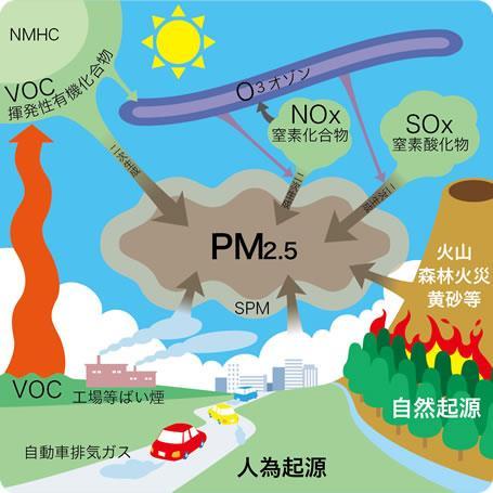PM2.5 の生成メカニズム 二次粒子 一次粒子 https://www.