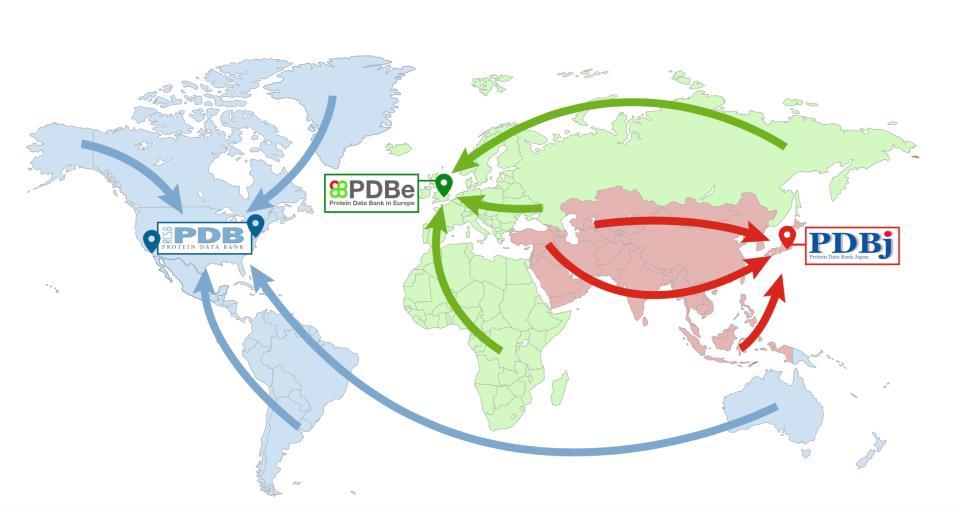 PDBj は日本を中心にアジア地区 からのデータ登録に責任を持つ Americas, Oceania Europe,