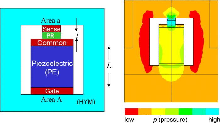 , 22, 5517 (2010) Piezoelectric Transistors D.