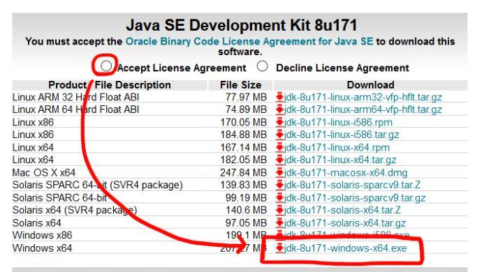 - Java SE Development Kit 8u171 の