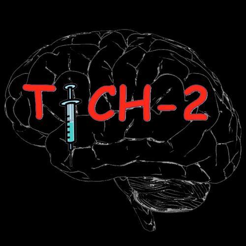現在進行中の RCT3 TICH-2 P 内因性脳出血を対象とした多施設 RCT 発症後 8h 以内の内因性急性脳出血患者 :2000