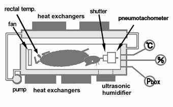 ローボリューム (FV) 曲線もしばしば評価の対象となる 我々は Diamond(J Appl Physiol 1977) らの手法を改良した装置を作成し 気道収縮物質 ( メサコリン : Mch) 吸入実験を行って これまで不可能とされていた小動物の末梢気道収縮の評価がフローボリューム曲線によって可能である 100% 水蒸気飽和とした これらによって箱内環境は肺内と同様のBTPS(body