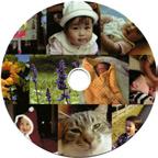 CD/DVD(8cm) CD/DVD レーベル 1 面 * レーベル 4 面