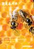 消えるハチ Bees in Decline A review of factors that put pollinators and agriculture in Europe at risk Greenpeace Research Laboratories Technical Report (Re