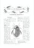 1 1/ ', 甲虫ニュース CoLEopTERIsTs' NEWS NO. 66 Dece mbe r 1984 Family Dytiscidae ゲンゴロウ科この科に - ) いては, 第二次 -lu 界大 lilt 前に 11;11 (19 32, '33) i lよび神谷 (1938) が