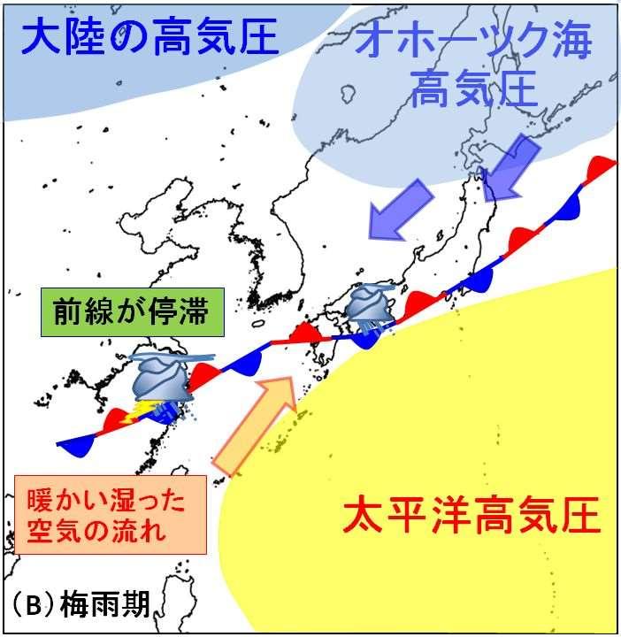 梅雨前線の停滞 (C) 夏に勢力を増す太平洋高気圧 太平洋高気圧の周辺における台風の北上 (D)
