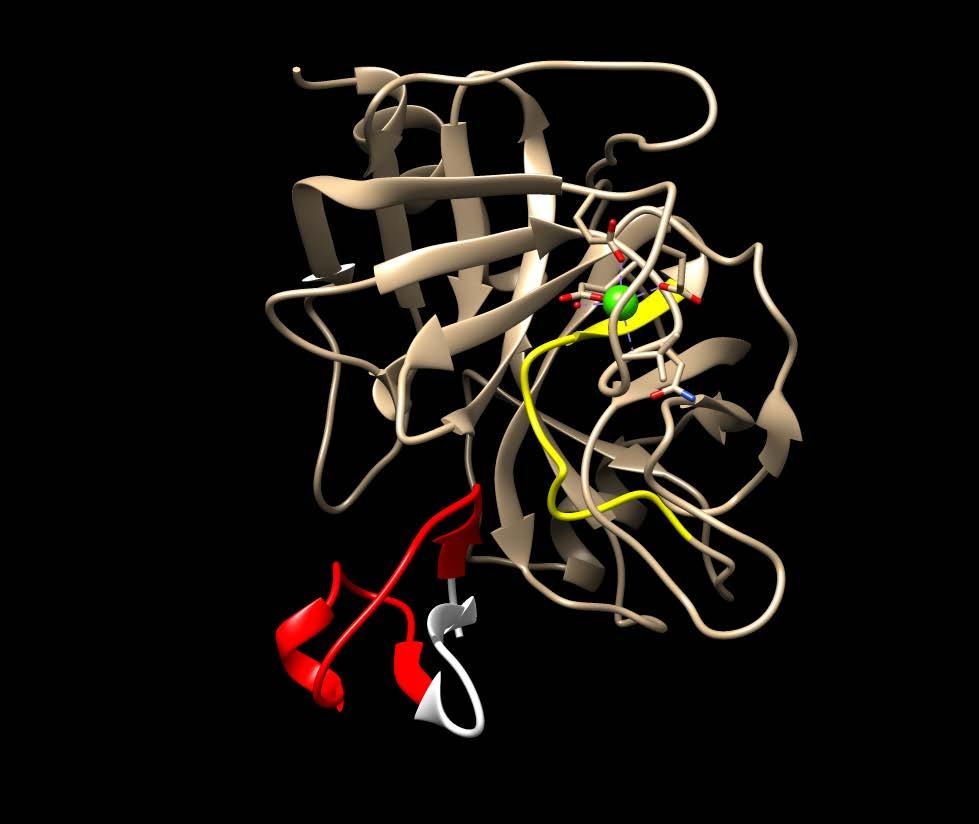 実例 : PS00286_PS00135 の共起関係 PS00286: (I: 503-522) Squash family of serine protease inhibitors signature PS00135: (E: 189-200) Serine proteases, trypsin family, serine active site P01074 2staI P35031