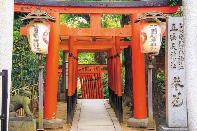 quarter. This time, we asked the chief priest of Gojo Tenjin Shrine about the true appeal of Ueno Park, where she was born and raised.