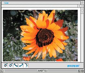 Web Web PRINT Image Matching Web EPSON SMART PANEL PRINT Image Matching PRINT Image