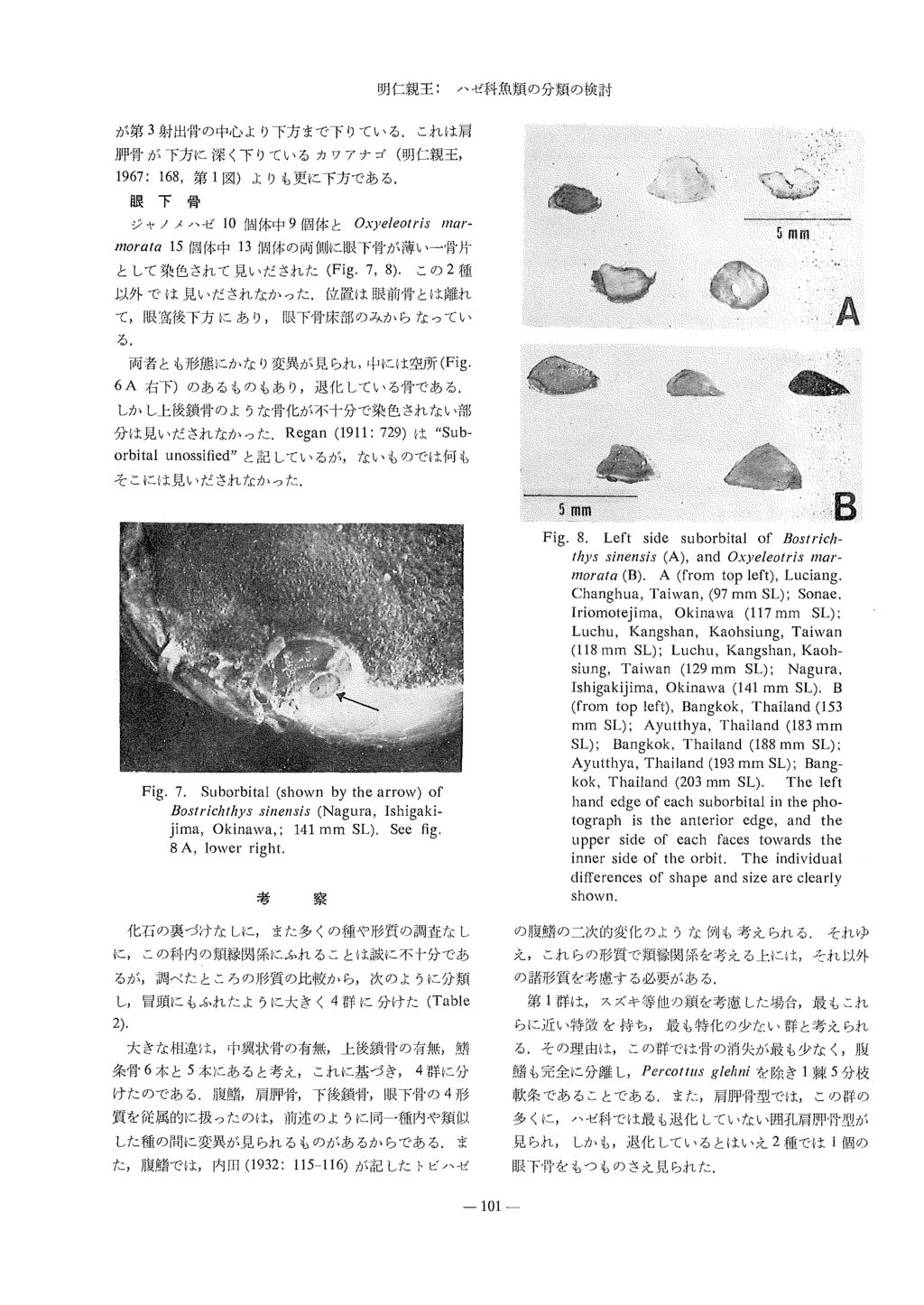 ronbun-06 - PDF 無料ダウンロード