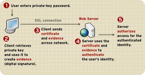 Red Hat Certificate System 9 計画 インストール およびデプロイメントのガイド 図 1.4 パスワードを使用したクライアントのサーバーへの認証 図 1.