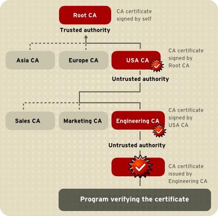 Red Hat Certificate System 9 計画 インストール およびデプロイメントのガイド CA には ルート CA によって署名された CA 証明書があります 階層内の下位 CA の下にある CA には 上位レベルの下位 CA によって署名された CA 証明書があります 組織は CA 階層の設定方法に多くの柔軟性を備えています 図 1.