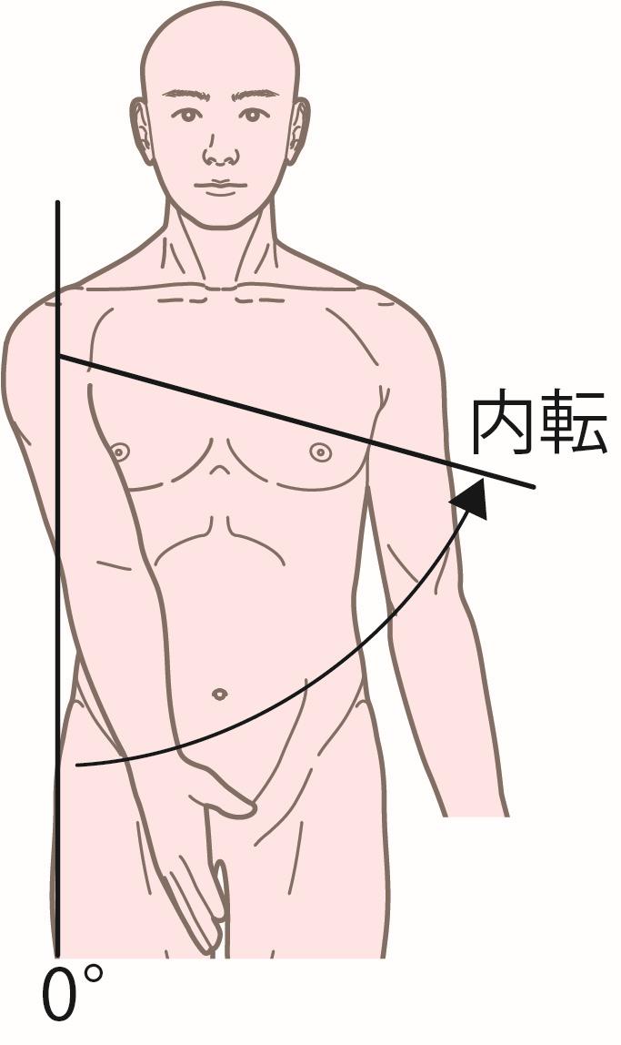 肘を通る 前額面への 肩 移動軸 尺骨 垂直線 肩関節は9 外転し かつ肘関節は9 した肢位で行う.