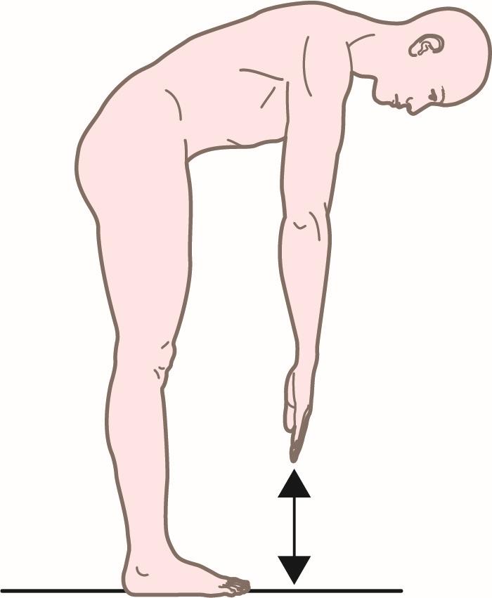 lumbar 最大は 指先と床と の間の距離 cm で表示す る.