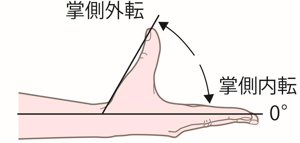 adduction 参考可動 域角度 基本軸 掌側外転 掌側内転 母指