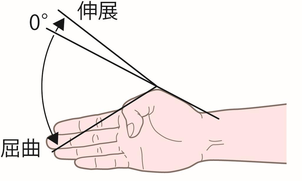 測定肢位および注意点 運動は手掌面とする.