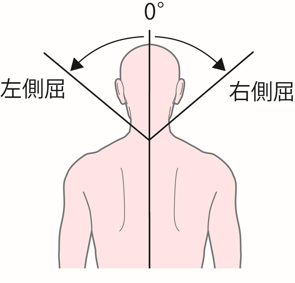 左 回 頚部 cervical spine 回旋 rotation -6 旋 右 回