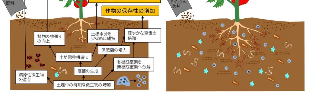 保存性の増加など様々な効果が得られます ( 図 2-15) さらに継続的に使用することで 土の団粒構造の形成や病原性微生物の抑制がより促進され