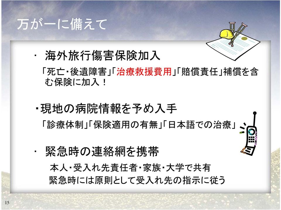 現 地 の 病 院 情 報 を 予 め 入 手 診 療 体 制 保 険 適 用 の 有 無 日 本 語 での 治 療