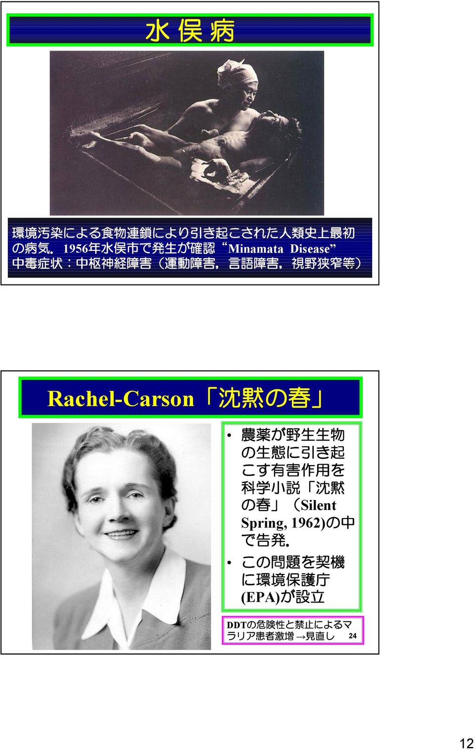 Rachel-Carson