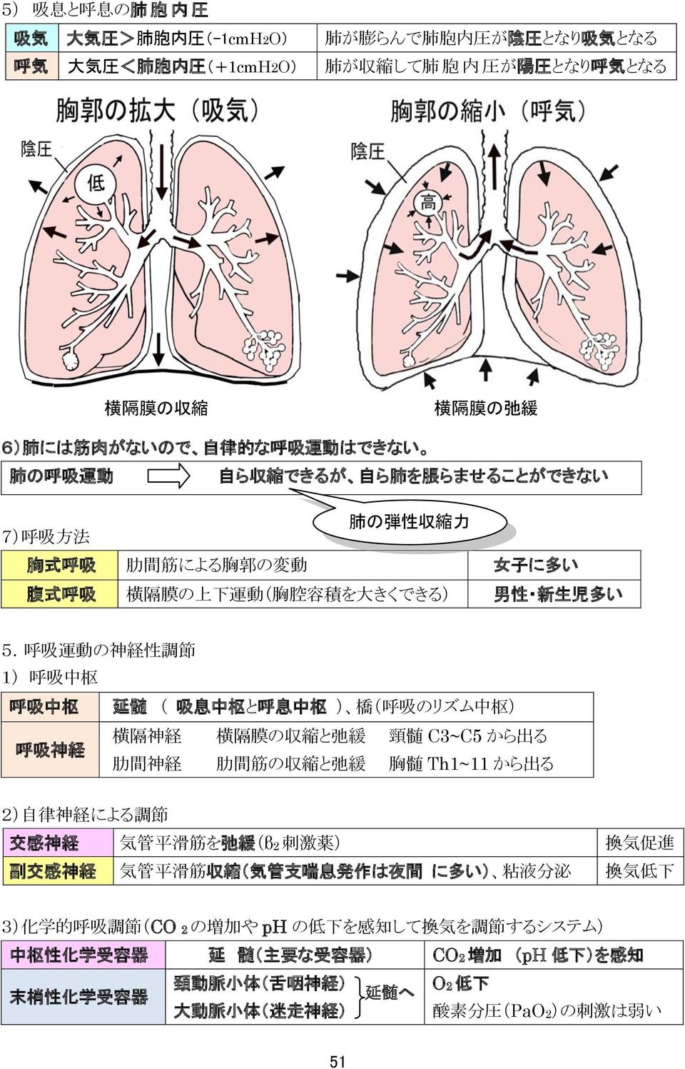 呼 吸 運 動 の 神 経 性 調 節 1) 呼 吸 中 枢 呼 吸 中 枢 延 髄 ( 吸 息 中 枢 と 呼 息 中 枢 ) 橋 ( 呼 吸 のリズム 中 枢 ) 横 隔 神 経 横 隔 膜 の 収 縮 と 弛 緩 頸 髄 C3~C5 から 出 る 呼 吸 神 経 肋 間 神 経 肋 間 筋 の 収 縮 と 弛 緩 胸 髄 Th1~11 から 出 る 2) 自 律 神 経 による 調 節 交