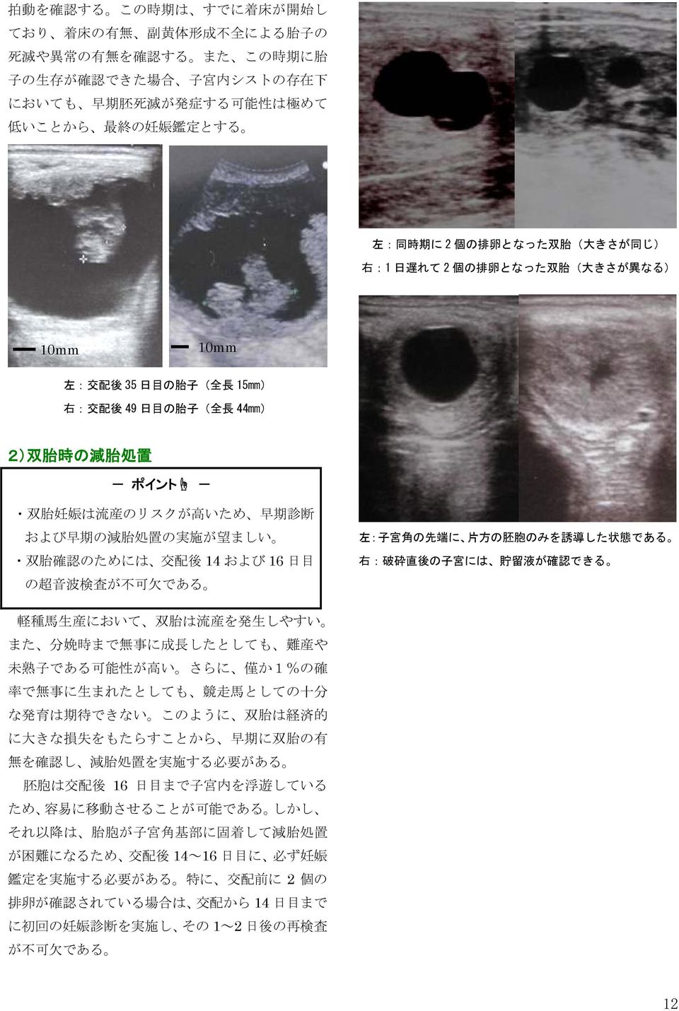 胎 処 置 双 胎 妊 娠 は 流 産 のリスクが 高 いため 早 期 診 断 および 早 期 の 減 胎 処 置 の 実 施 が 望 ましい 双 胎 確 認 のためには 交 配 後 14 および 16 日 目 の 超 音 波 検 査 が 不 可 欠 である 左 : 子 宮 角 の 先 端 に 片 方 の 胚 胞 のみを 誘 導 した 状 態 である 右 : 破 砕 直 後 の 子 宮 には 貯