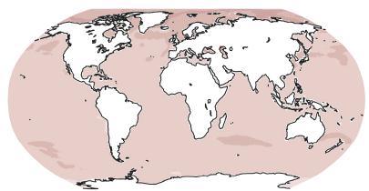 10. 将来の海の予測 海の酸性化はさらに進行する 海洋による炭素貯留の増加が 将来において 酸性化を進めるであろうことは ほぼ確実である IPCC AR5 WGⅠ TS p.94, 1-2行目 RCP2.6 将来 海はさらに酸性化する 最も温暖化を 抑えた場合 RCP8.5 陰影は不確実性 の幅を示す 図.