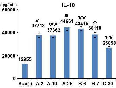 IL10 の産生は増加した ( 図 4) 以上の結果より 本マーカーでヒト骨髄球より分離された培養 MSC は樹状細胞の機能を抑え 免疫抑制を誘導する可能性が示唆された (3)MSC