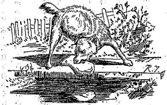第 7 章 犬とその影 に見るイソップ受容の一端 131 上記のジェームズ版 犬とその影 は挿絵付きの話である 1860 年代に挿絵の差し替えが行われているものの 本文に変更はない また 渡部版ではもともと挿絵は付されていなかったが 改正増補 版で追加された 1848 年版では水面に波紋が広がり 犬が肉片を水の中に落とした後の姿が描かれている ( 図 1) 心なしか 犬が哀しそうである 一方の