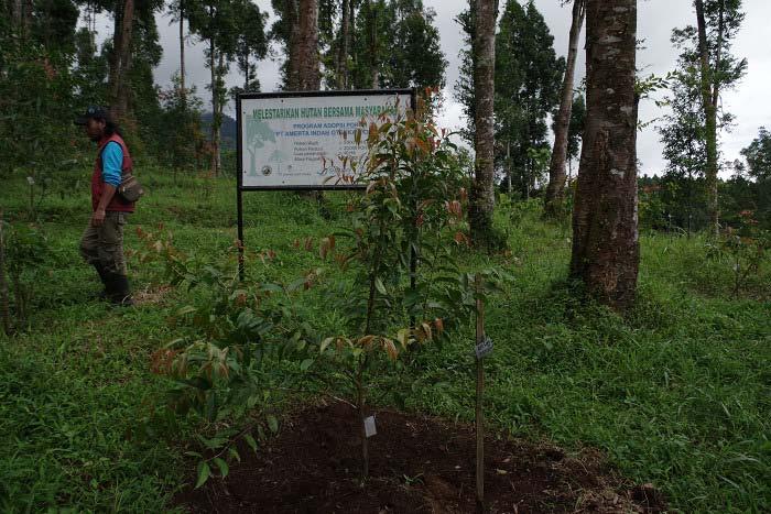 水源の確保を目的とした植林を実施 JEEF は事業の企画 運営と
