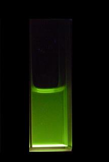 溶液中での UV-Vis および発光スペクトル 1.4 1.2 1a 1d 1a 1d Absorbance 1.0 0.8 0.