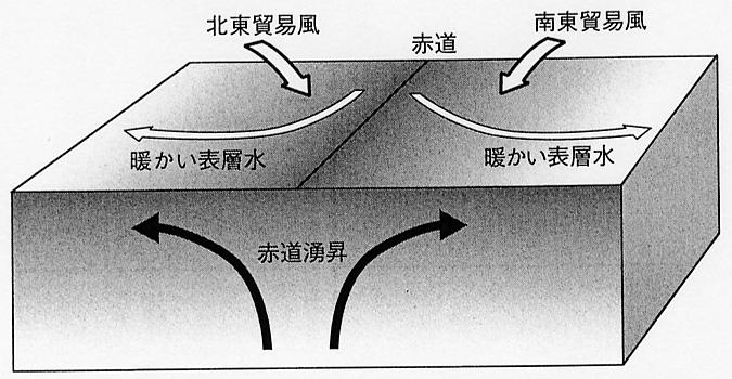 図 11 赤道湧昇流の形成機構