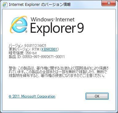 (2)Internet Explorer