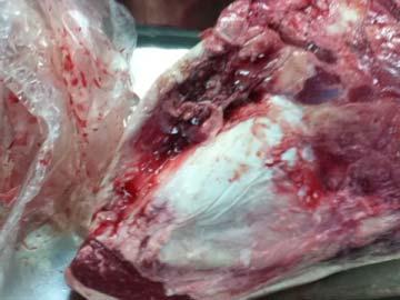包装パックを開けた状態 部分肉を更にブロック肉 ( とも三角 しんしん かめのこう かぶり等 ) に切り分け 余分な筋 血管