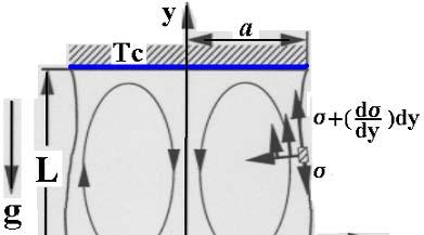 液柱内での Marangoni 対流の発生機構 σ [ N/m ] T c T [ K ] σ < 0 T T h 一般的な流体の表面張力の温度依存性 Marangoni 効果を表す式 w µ x せん断力 σ σ