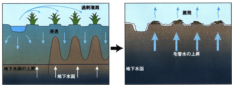動力揚水方式に移行している ナイルデルタのポンプによる取水 ( 写真井上光弘 )