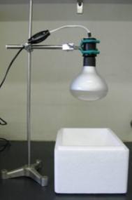 9 光照射装置 LED Crosslinker 12 ( タカラバイオ 製品コードEM200) * Viable Bacteria Selectionシステムのための専用光照射装置 EMA 処理に際して 再現性のよい安定した光照射を行うことができる 1.
