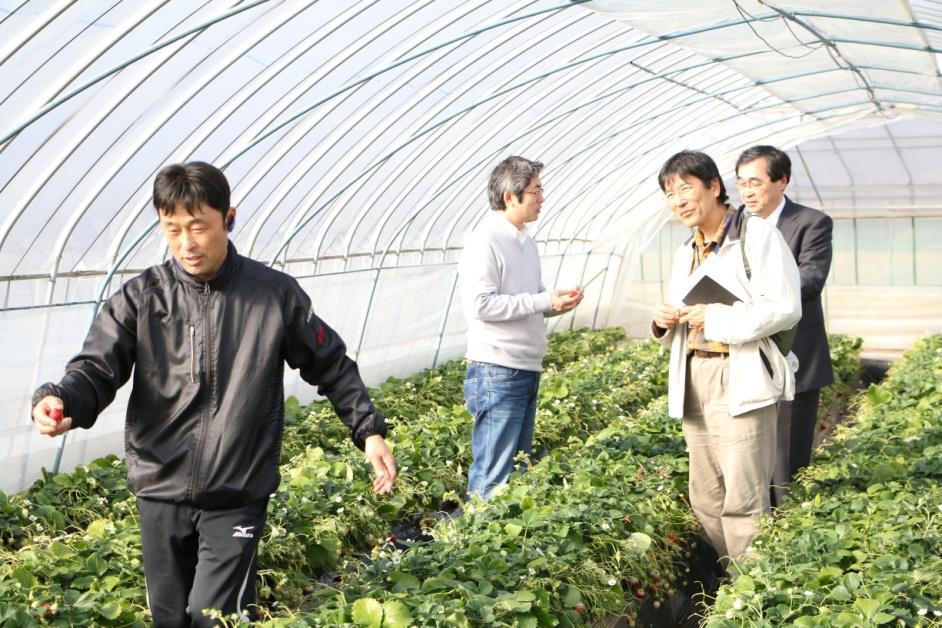 事例 1. 篤農家の技術の数値化 所在地栽培作物作型施設面積 茨城県鉾田イチゴ 8 月 ~6 月 0.