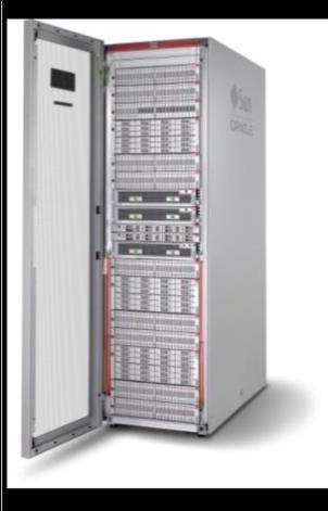 Oracle FS1-2 Flash Storage System Oracle FS1-2 Flash Storage System は オラクルが最優先する SAN ストレージ ソリューションで フラッシュ メディア向けに最適化され