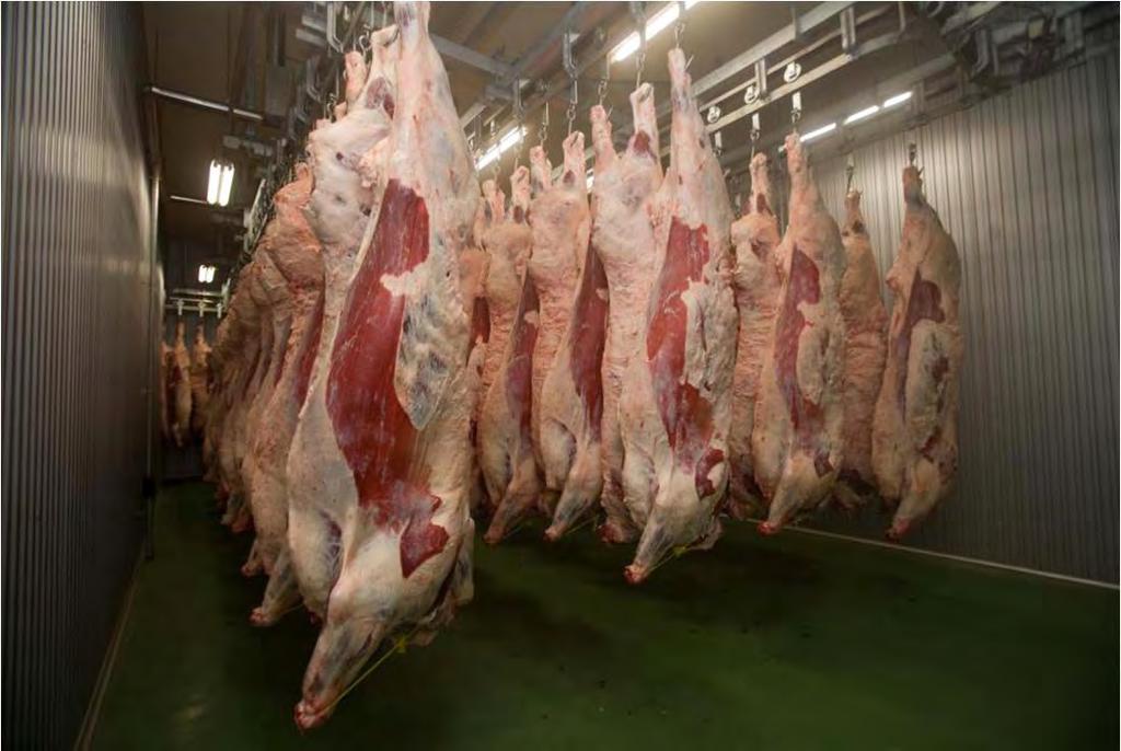 牛肉ができるまで 5 冷却保管 37 ( 財 ) 日本食肉生産技術開発センター資料 食品健康影響評価のためのリスクプロファイル ~