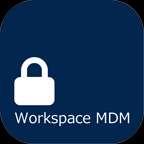 Workspace MDM M12.
