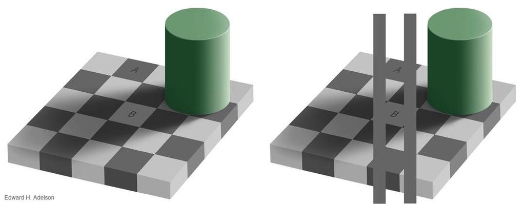 色の恒常性 色は物理的な性質ではなく知覚現象 同じ波長であっても 光のレイアウトによって色の見え方は異なる 色の錯視 Checker shadow illusion by E.H. Adelson http://web.mit.