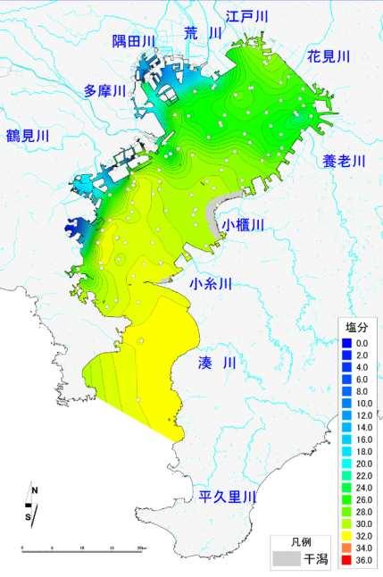 塩分 大岡分水路 表層 底層 図 1-2 塩分の水平分布 ( 左図 : 表層 右図 : 底層 ) 調査の結果 表層の塩分は 東京湾西岸で低く 東岸に向かうにしたがって高くなる傾向が確認されました 特に