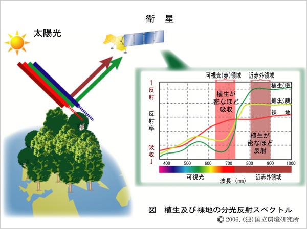 3.2.2 衛星画像センサを用いた植生の観測 :NDVI 植生指数 (NDVI) とは リモートセンシングによって森林の面積やバイオマスを評価する際に最もよく用いられる指標の一つです NDVI は 近赤外光領域 (NIR) 及び可視光赤領域 (VIS) の反射率データから以下の演算式を用いて算出されます