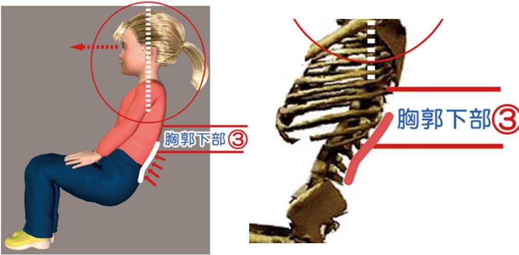 倒れすぎない角度 3) 胸腰椎移行部 ( 腰椎上部と胸郭下縁部 ) ( 図 9)